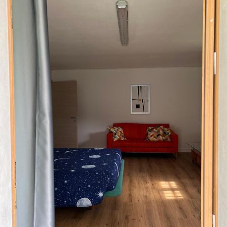 Homely Albino Exterior photo